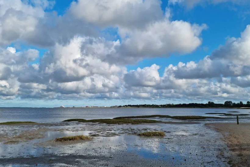 Foto von Ferienhaus QV11 in Kongsmark - Rømø