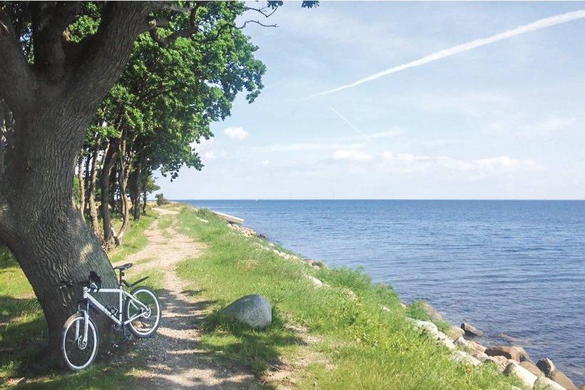 Foto von Ferienhaus QV37 in Lohals - Langeland