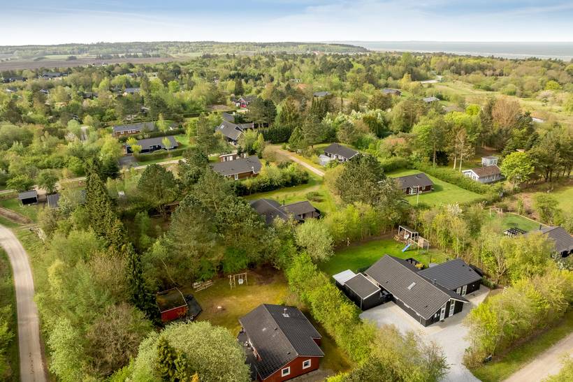 Foto von Ferienhaus QV43 in Trend - Thy/Limfjord