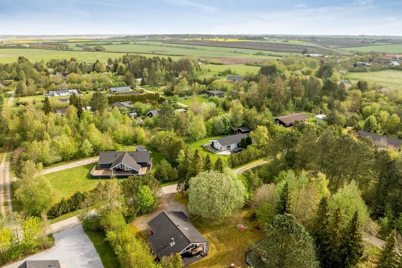 Foto von Ferienhaus QV43 in Trend - Thy/Limfjord