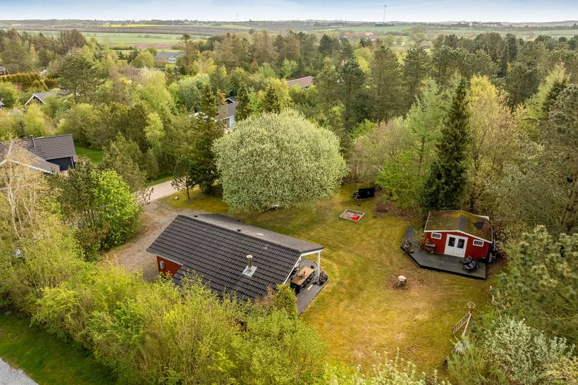 Foto von Ferienhaus QV43 in Trend - Thy/Limfjord