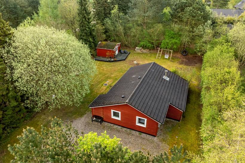 Foto von Ferienhaus QV43 in Trend - Thy/Limfjord