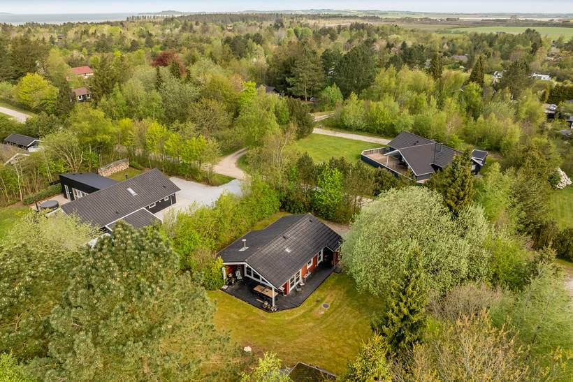 Foto von Ferienhaus QV43 in Trend - Thy/Limfjord