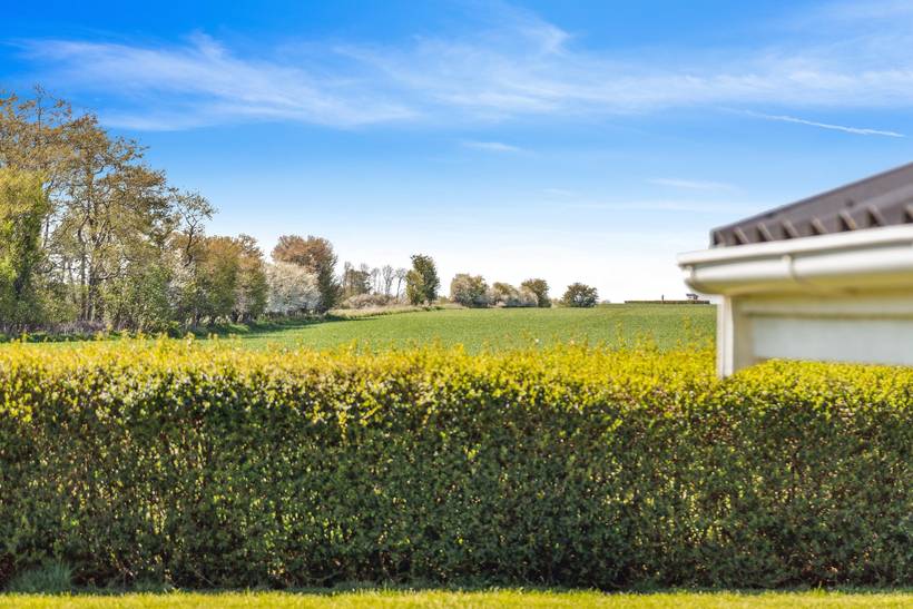 Foto von Ferienhaus QV60 in Dyngby - Odder - Ostjütland