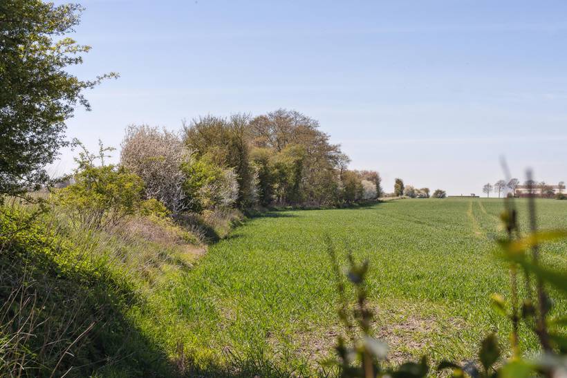Foto von Ferienhaus QV60 in Dyngby - Odder - Ostjütland