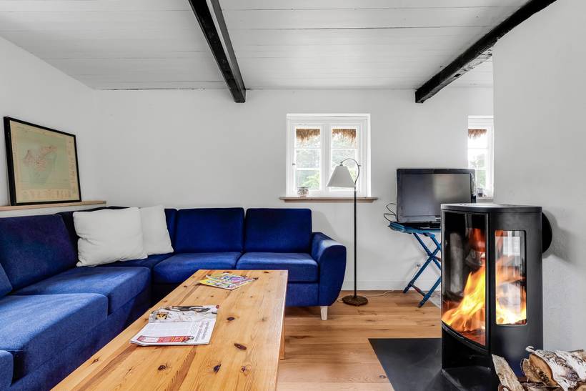 Foto von Ferienhaus QV66 in Østerby - Læsø