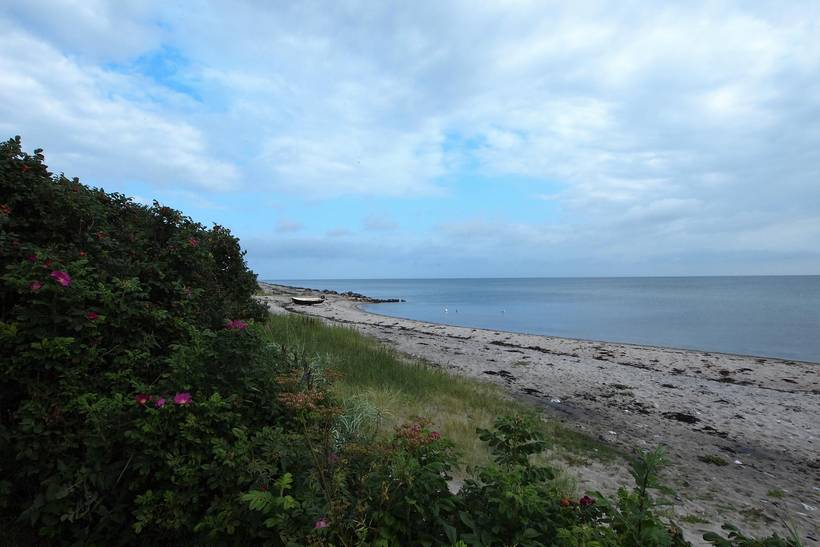 Foto von Ferienhaus QV70 in Tørresø - Nordfünen