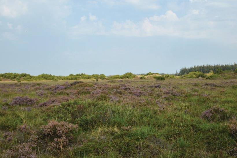 Foto von Ferienhaus QV80 in Arrild - Südjütland