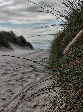 Foto von Ferienhaus QX75 in Henne Strand - Westjütland