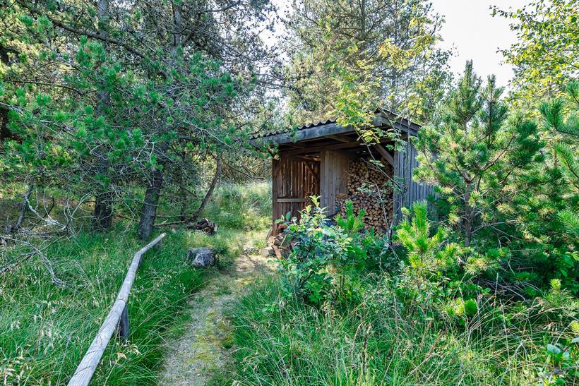 Foto von Ferienhaus RB12 in Vejers Strand - Westjütland