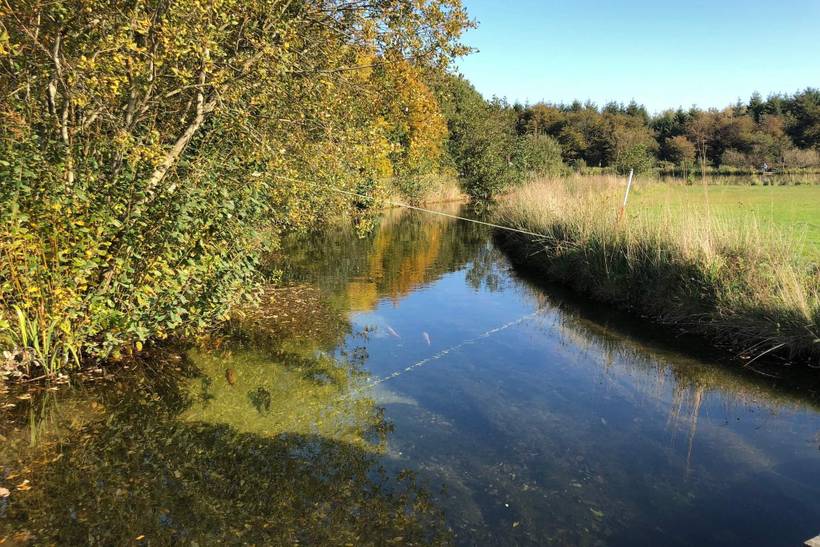Foto von Ferienhaus RB57 in Arrild - Südjütland