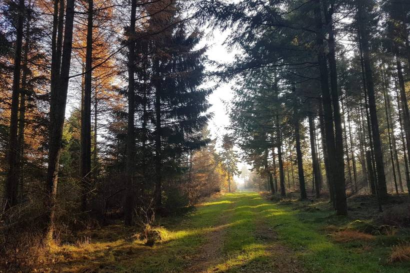Foto von Ferienhaus RB57 in Arrild - Südjütland