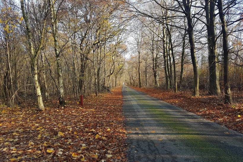 Foto von Ferienhaus RB57 in Arrild - Südjütland