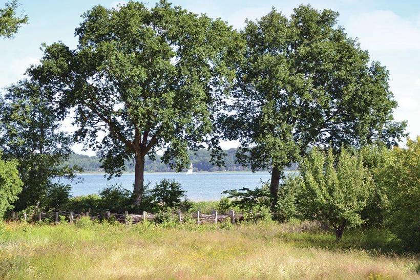 Foto von Ferienhaus RB66 in Kulhuse - Nordseeland