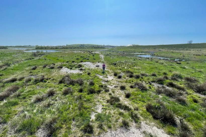 Foto von Ferienhaus RC28 in Ringkøbing - Westjütland