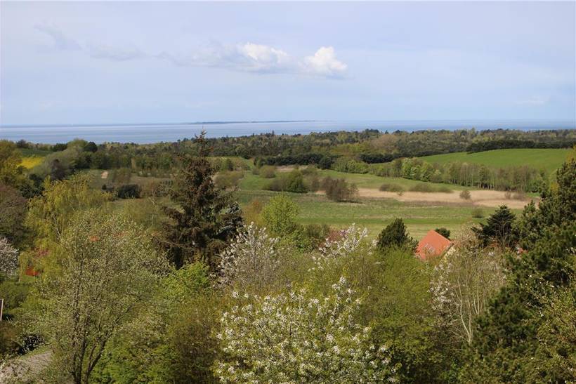 Foto von Ferienhaus RD21 in Sejerø Bugt - Westseeland