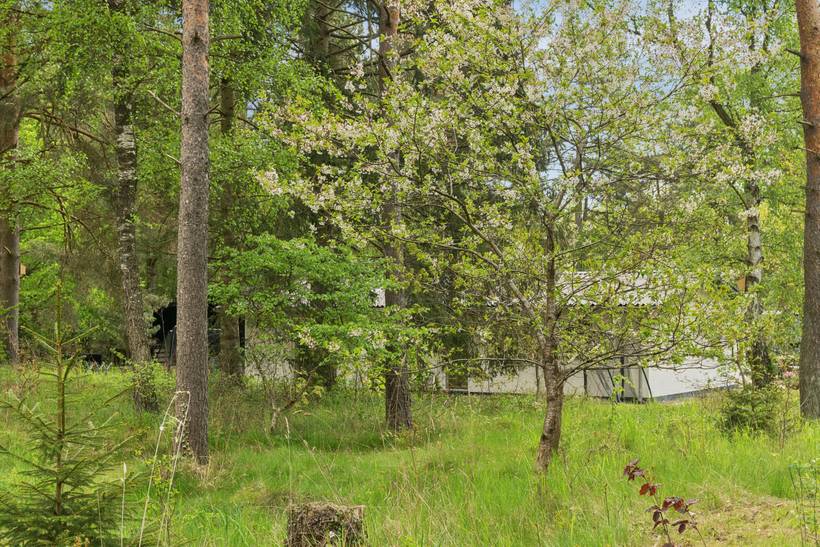 Foto von Ferienhaus RD56 in Sejerø Bugt - Westseeland