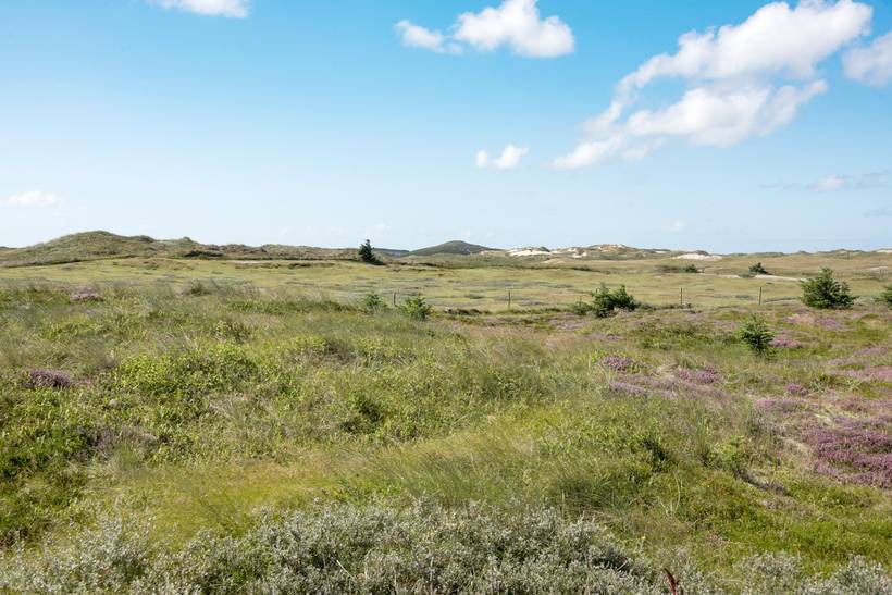 Foto von Ferienhaus RD83 in Haurvig - Årgab - Westjütland