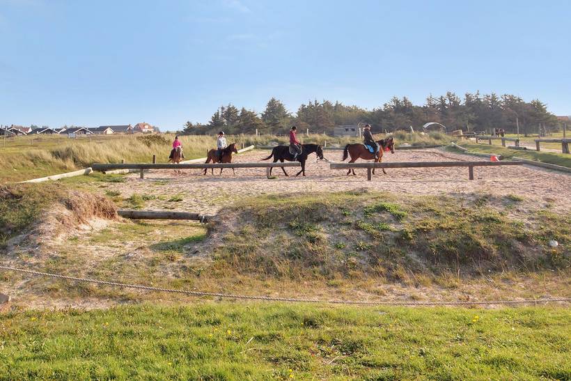 Foto von Ferienhaus RD83 in Haurvig - Årgab - Westjütland