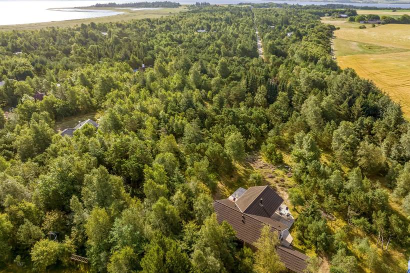 Foto von Ferienhaus RD91 in Fur - Thy/Limfjord