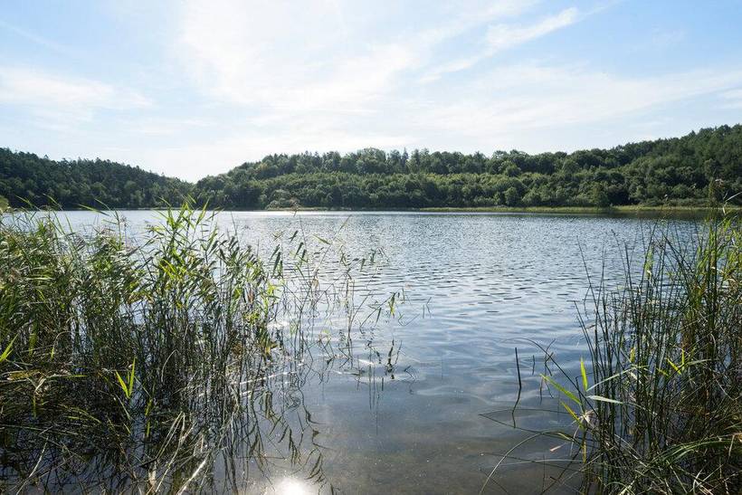 Foto von Ferienhaus RF30 auf Maglesø - Westseeland