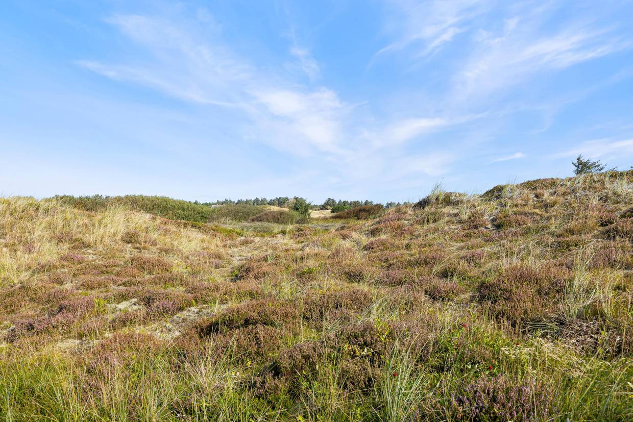 Foto von Ferienhaus RF37 in Bjerregård - Westjütland