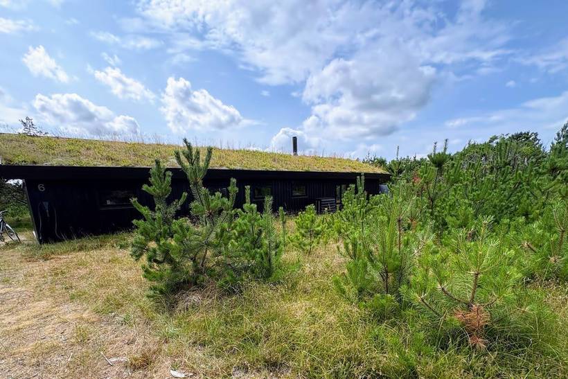 Foto von Ferienhaus RF53 in Skiveren - Tversted - Nordjütland