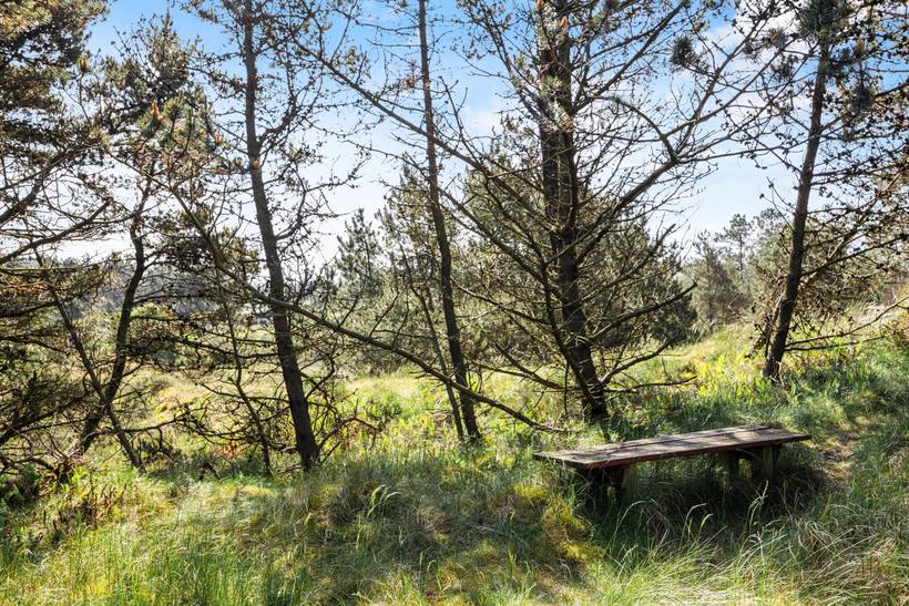 Foto von Ferienhaus RF69 in Sønderstrand - Rømø
