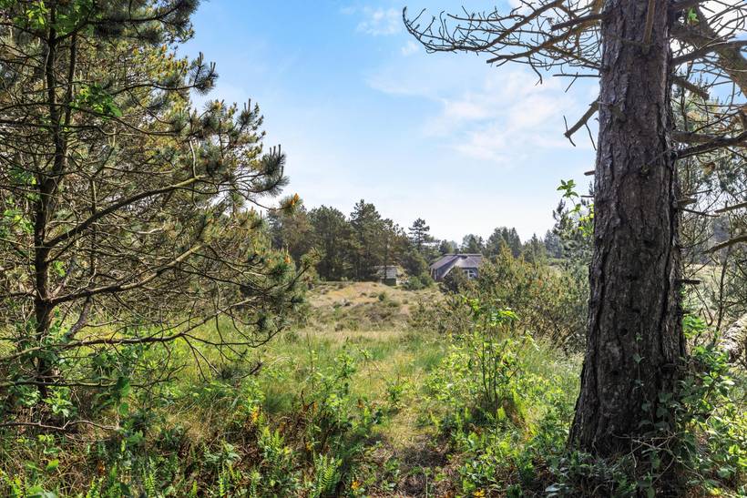 Foto von Ferienhaus RF69 in Sønderstrand - Rømø
