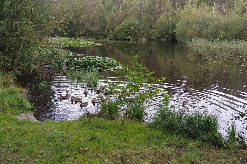 Foto von Ferienhaus RG15 in Ålbæk - Nordjütland Ost