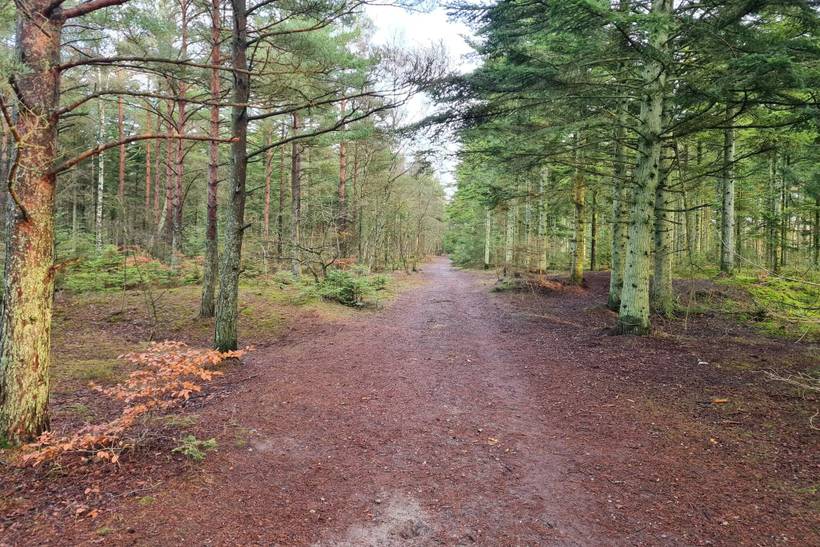 Foto von Ferienhaus RG15 in Ålbæk - Nordjütland Ost