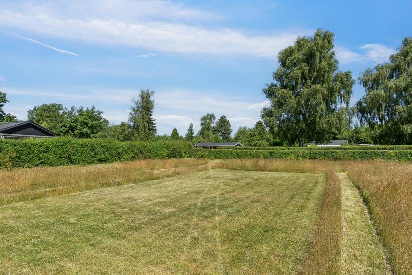 Foto von Ferienhaus RG32 auf Lammefjord - Westseeland