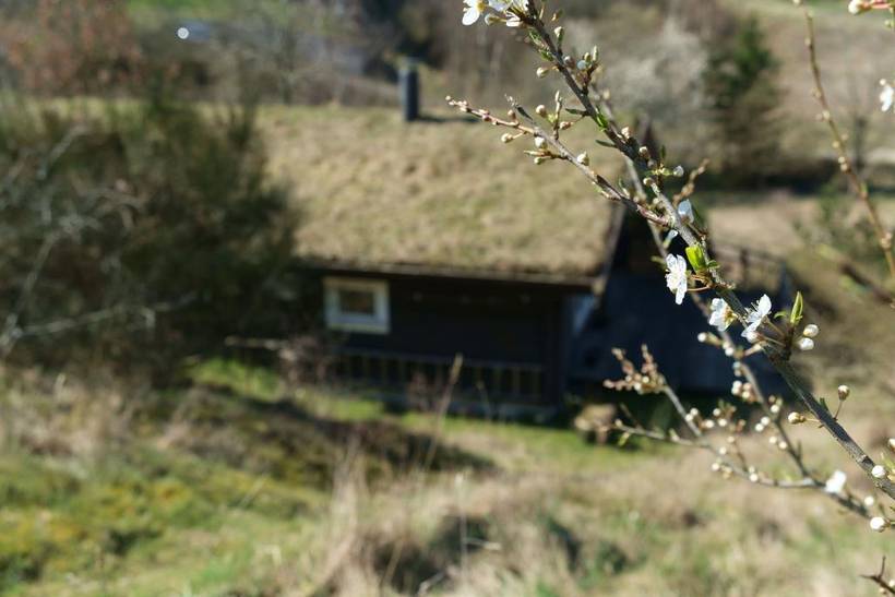 Foto von Ferienhaus RG47 in Mols - Ostjütland