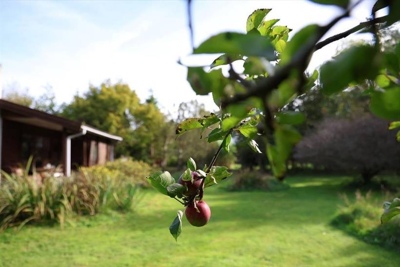 Foto von Ferienhaus RG62 in Sejerø Bugt - Westseeland