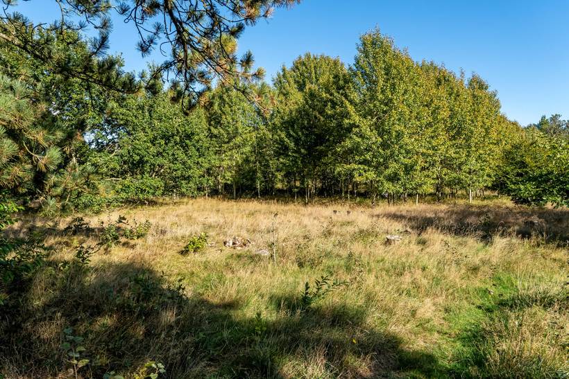 Foto von Ferienhaus RG80 in Ålbæk - Nordjütland Ost