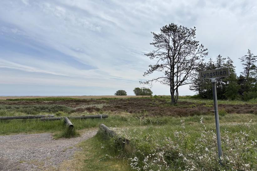 Foto von Ferienhaus RG93 in Hou - Nordjütland Ost
