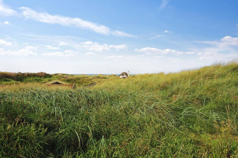 Foto von Ferienhaus RH01 in Saltum - Blokhus - Nordjütland