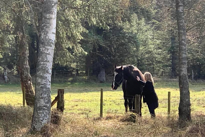 Foto von Ferienhaus RH88 in Vejers Strand - Westjütland