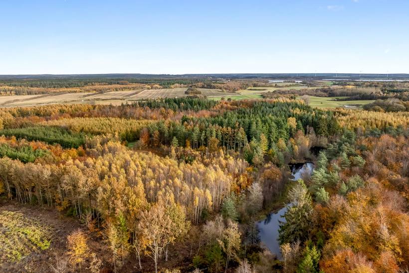 Foto von Ferienhaus RI10 in Gatten - Thy/Limfjord