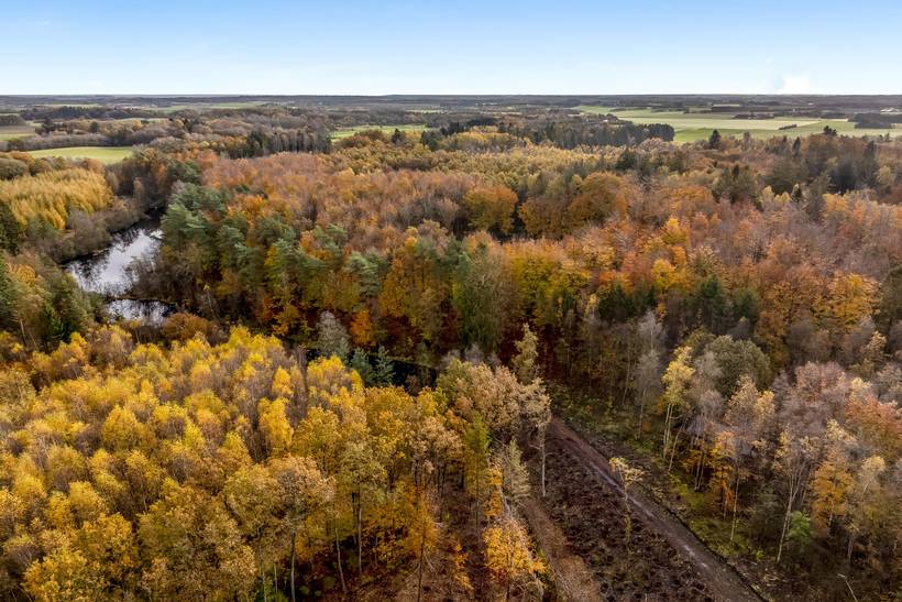 Foto von Ferienhaus RI10 in Gatten - Thy/Limfjord