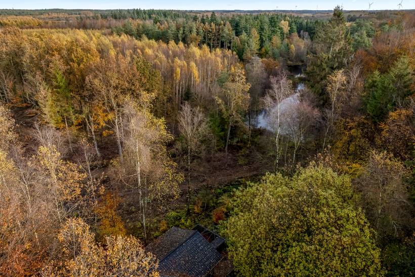 Foto von Ferienhaus RI10 in Gatten - Thy/Limfjord