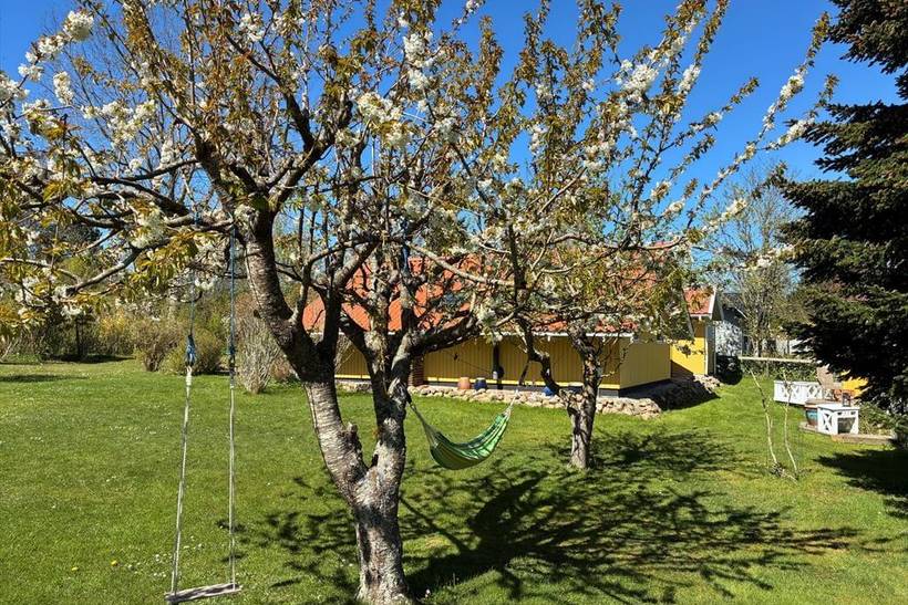 Foto von Ferienhaus RI43 auf Isefjordkysten - Nordseeland