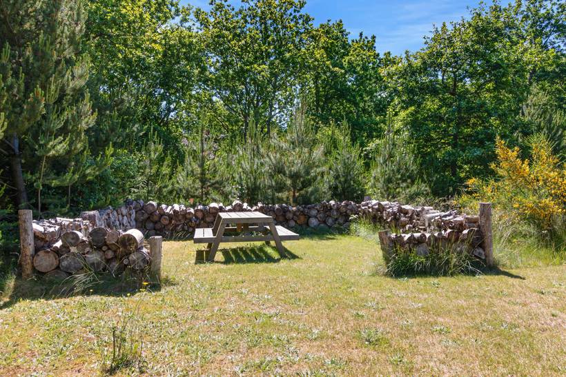 Foto von Ferienhaus RI48 in Blåvand - Westjütland