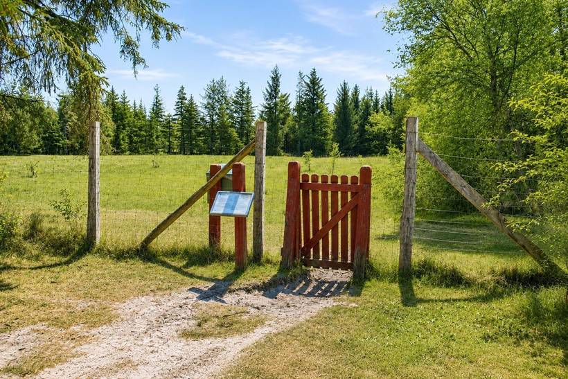 Foto von Ferienhaus RI48 in Blåvand - Westjütland
