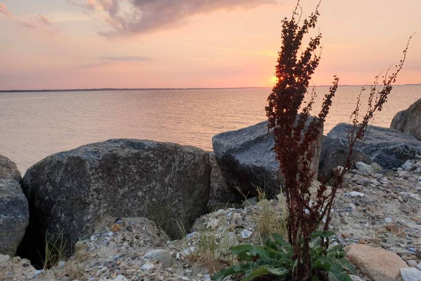 Foto von Ferienhaus RI60 in Trend - Thy/Limfjord