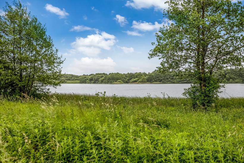 Foto von Ferienhaus RJ30 in Ribe - Südjütland