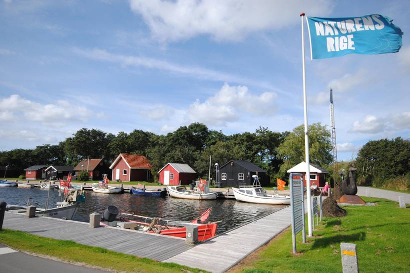 Foto von Ferienhaus RJ56 in Stauning - Westjütland