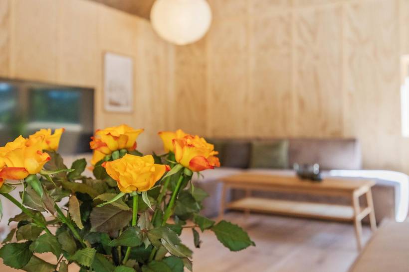 Foto von Ferienhaus RJ68 in Blåvand - Westjütland