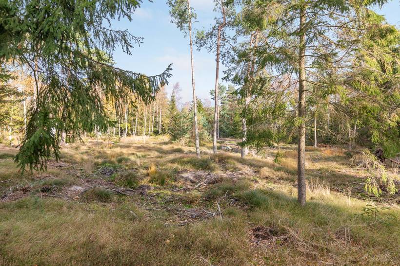 Foto von Ferienhaus RJ76 in Dueodde - Bornholm
