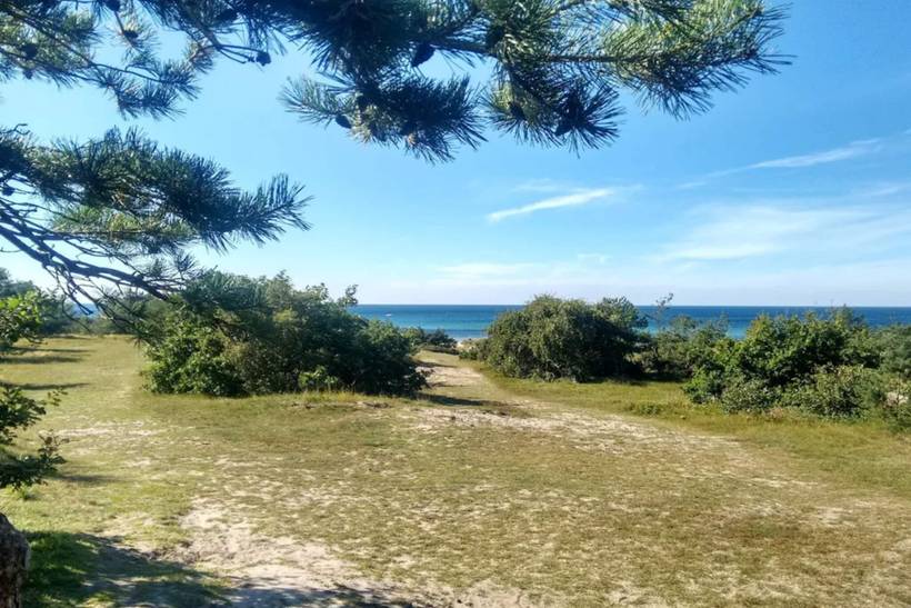 Foto von Ferienhaus RK22 in Udsholt - Rågeleje - Nordseeland